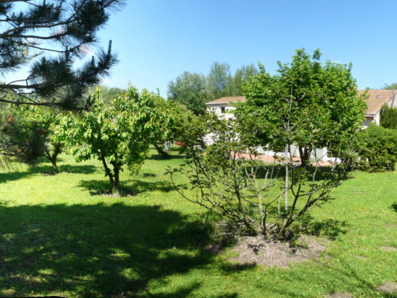 Quedarse En Casa Noves 83900-1