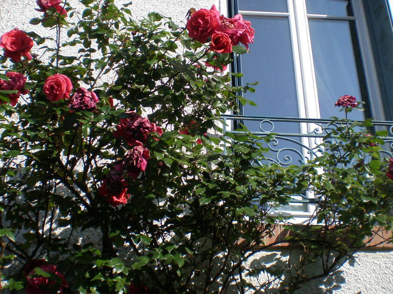 Quedarse En Casa Conflans-Sainte-Honorine 87295-1