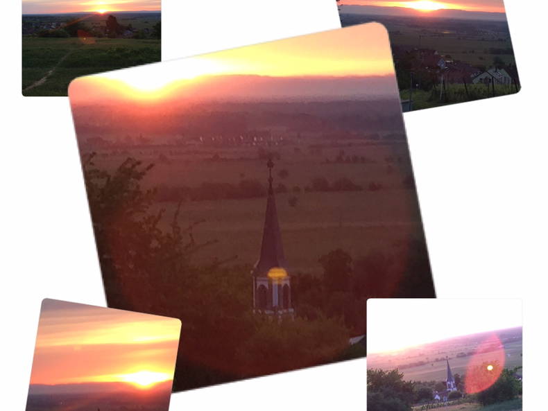 Chambre Chez L'habitant Rorschwihr 88924-4