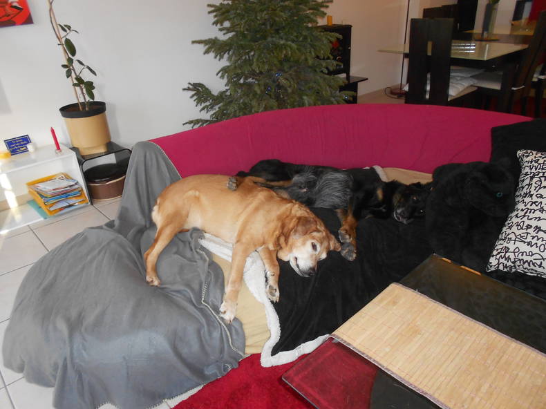 Chambre Chez L'habitant Houilles 88996-5