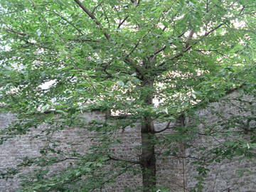 Shared Accommodation Uccle 89492-5