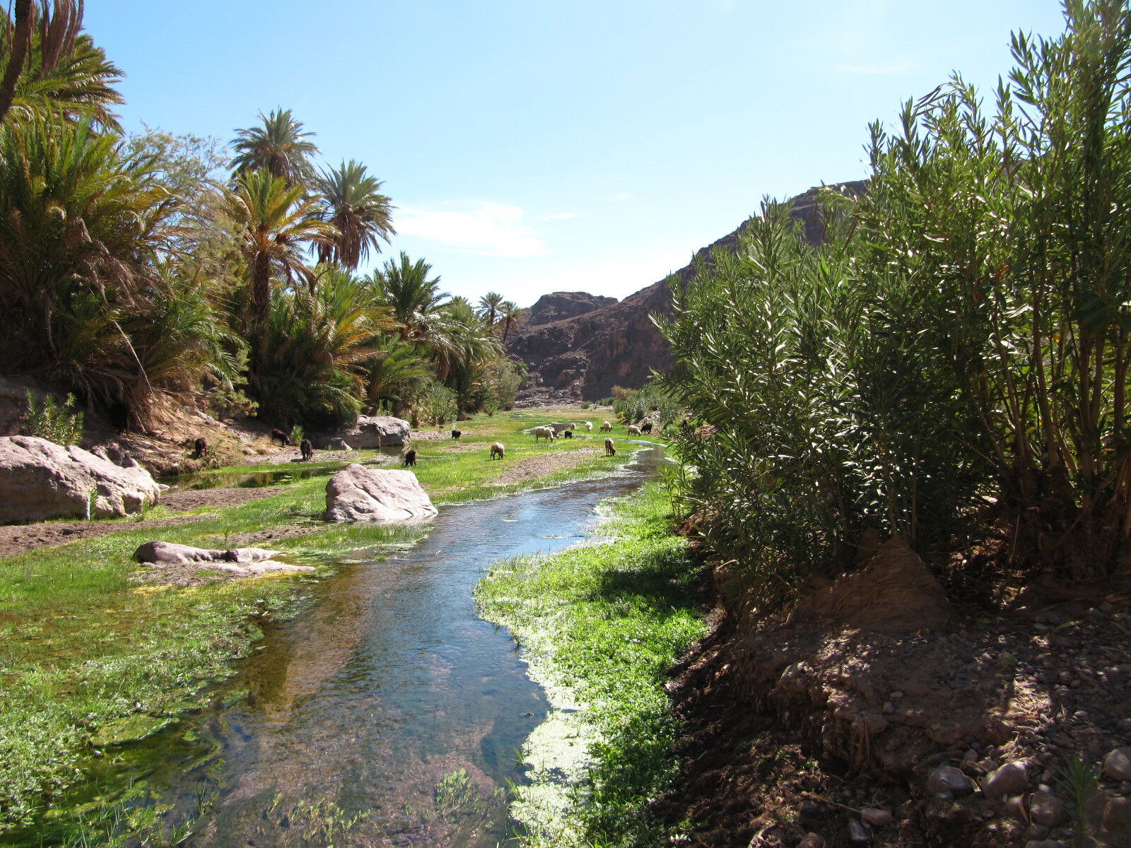 Gæsteværelser Ouarzazate 103551