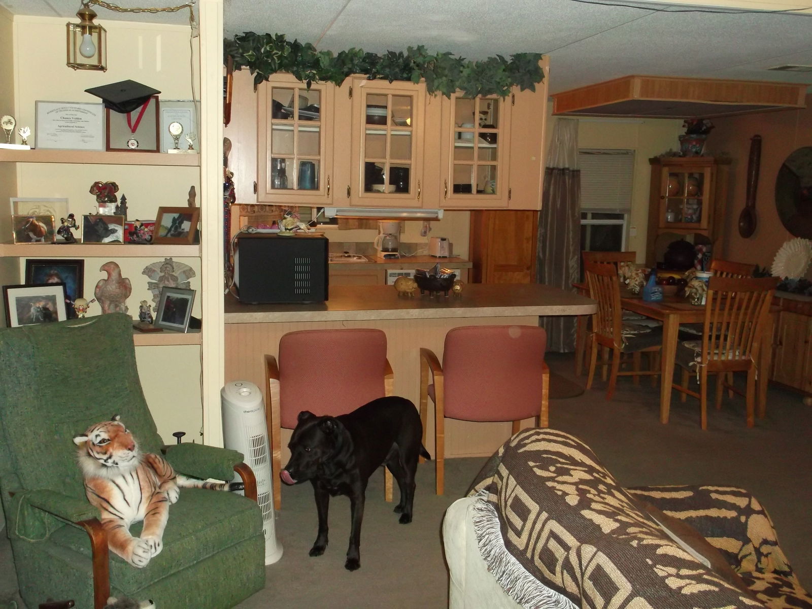 Chambre Chez L'habitant Plant City 109366