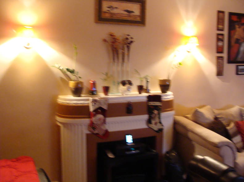 Colocation Montréal 121761-4