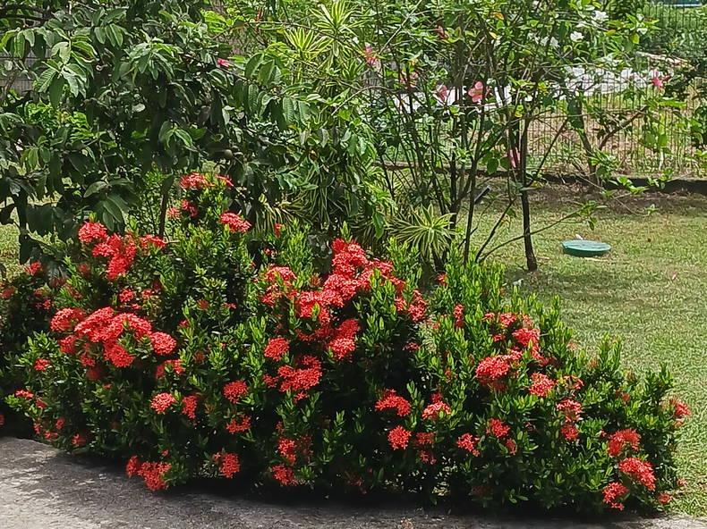 Hospedagem Em Casa De Família Morne-à-l'Eau 128984-3