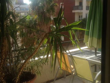 Room For Rent Montpellier 131691