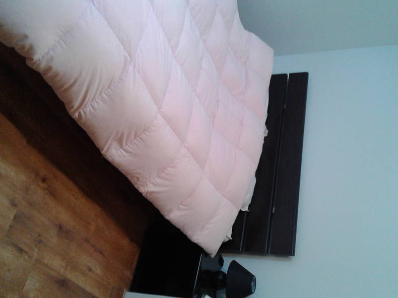 Chambre Chez L'habitant Anneux 140951-1