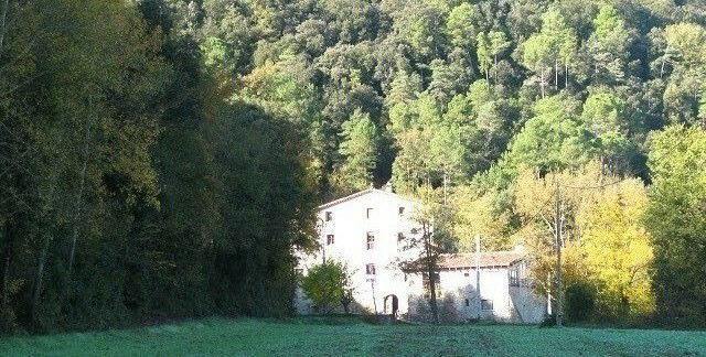 Chambre Chez L'habitant Sant Ferriol 157590