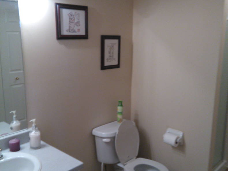 Chambre Chez L'habitant Gatineau 166582-3