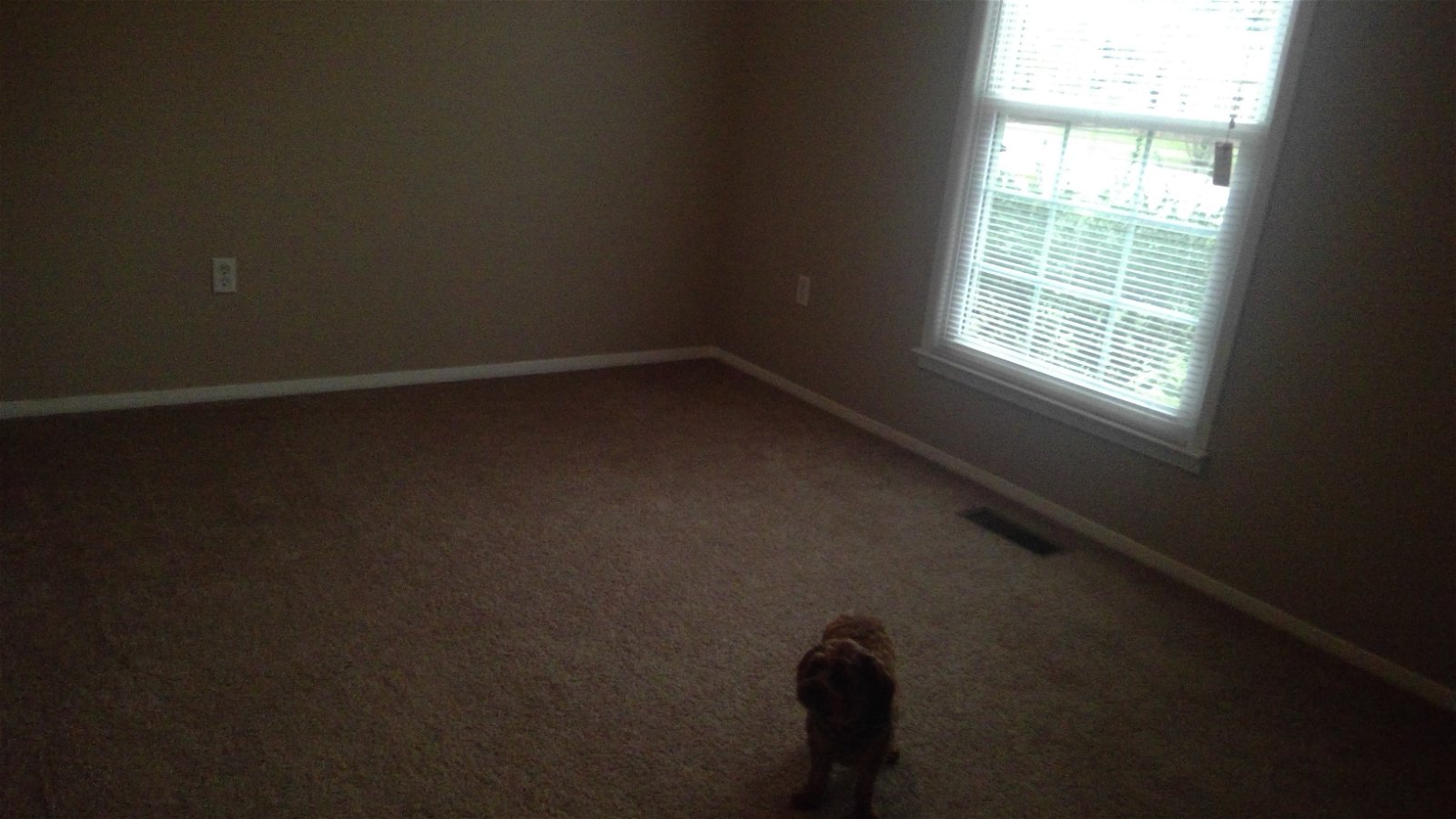 Chambre Chez L'habitant Fayetteville 183523