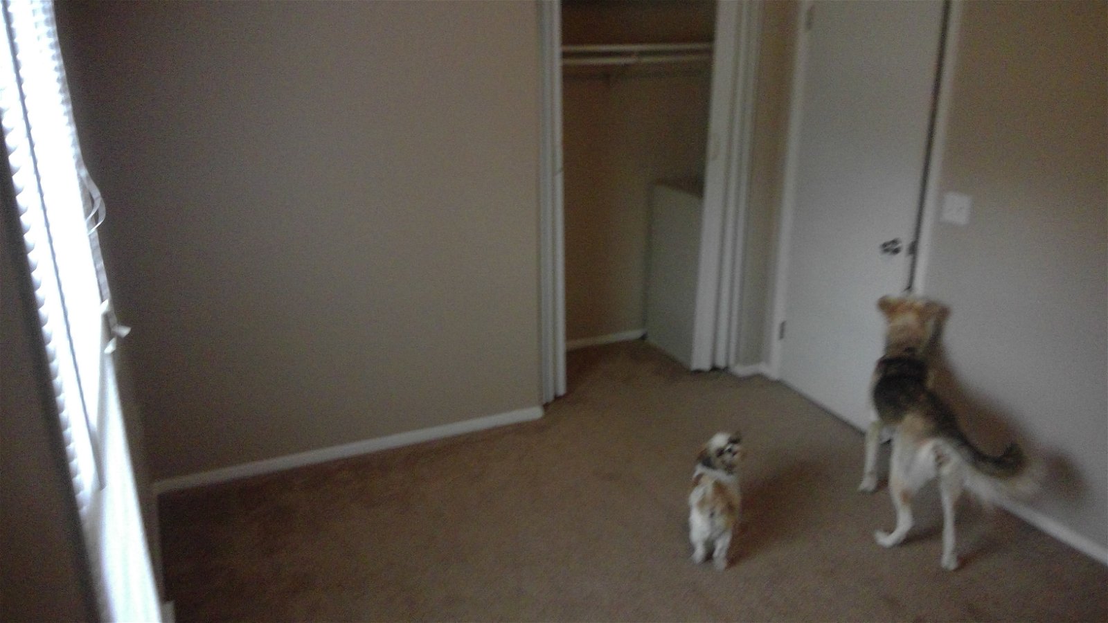 Chambre Chez L'habitant Fayetteville 183523