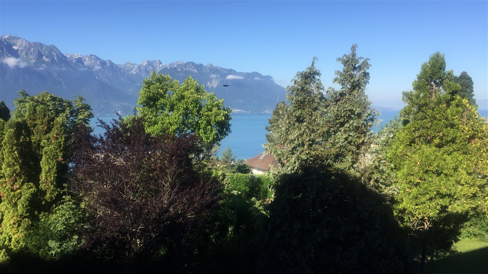 Chambre Chez L'habitant Chernex 198161