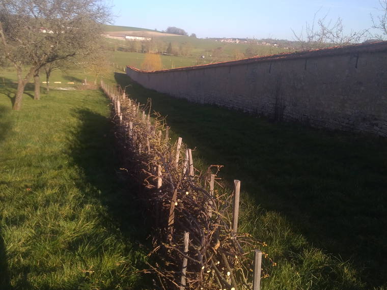 Homestay Mandres-sur-Vair 200486