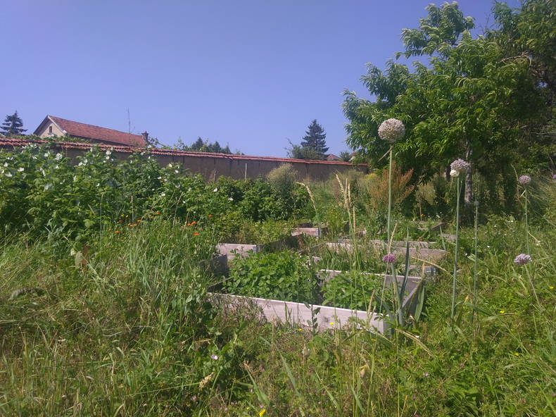 Chambre Chez L'habitant Mandres-sur-Vair 200486-3