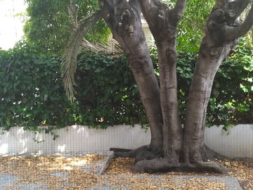 Hospedagem Em Casa De Família Perpignan 211130-6