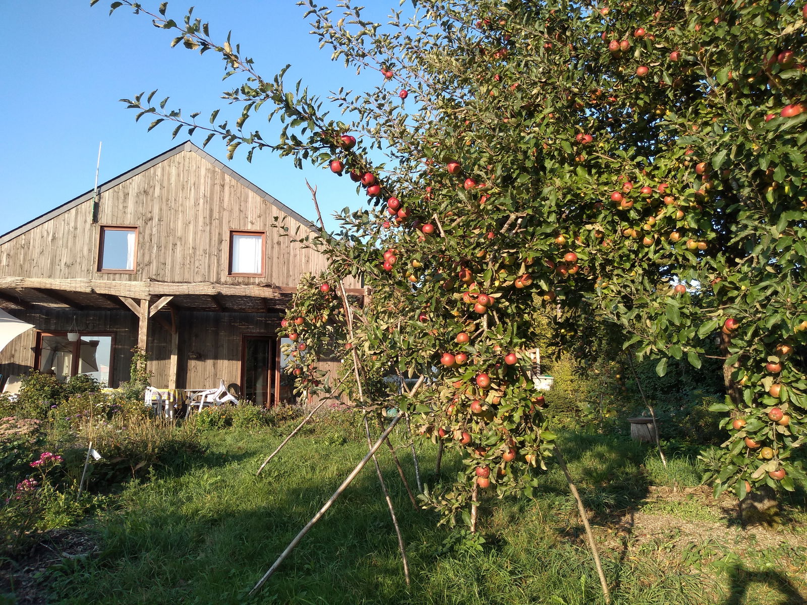 Kotimajoitus Neufchâteau 222994