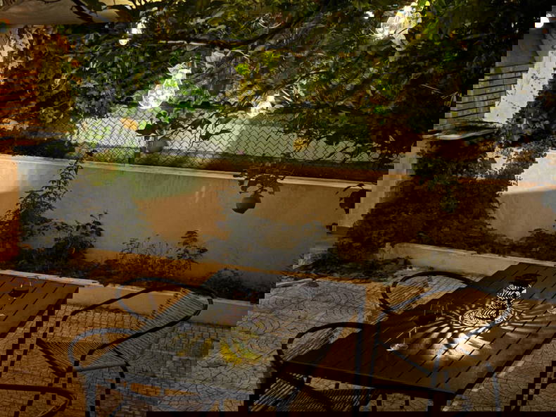 Gastfamilie Alvor 222999-3