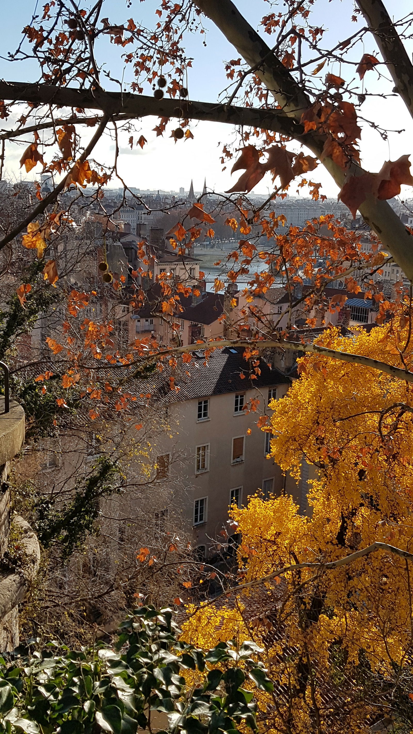 Kotimajoitus Lyon 227776
