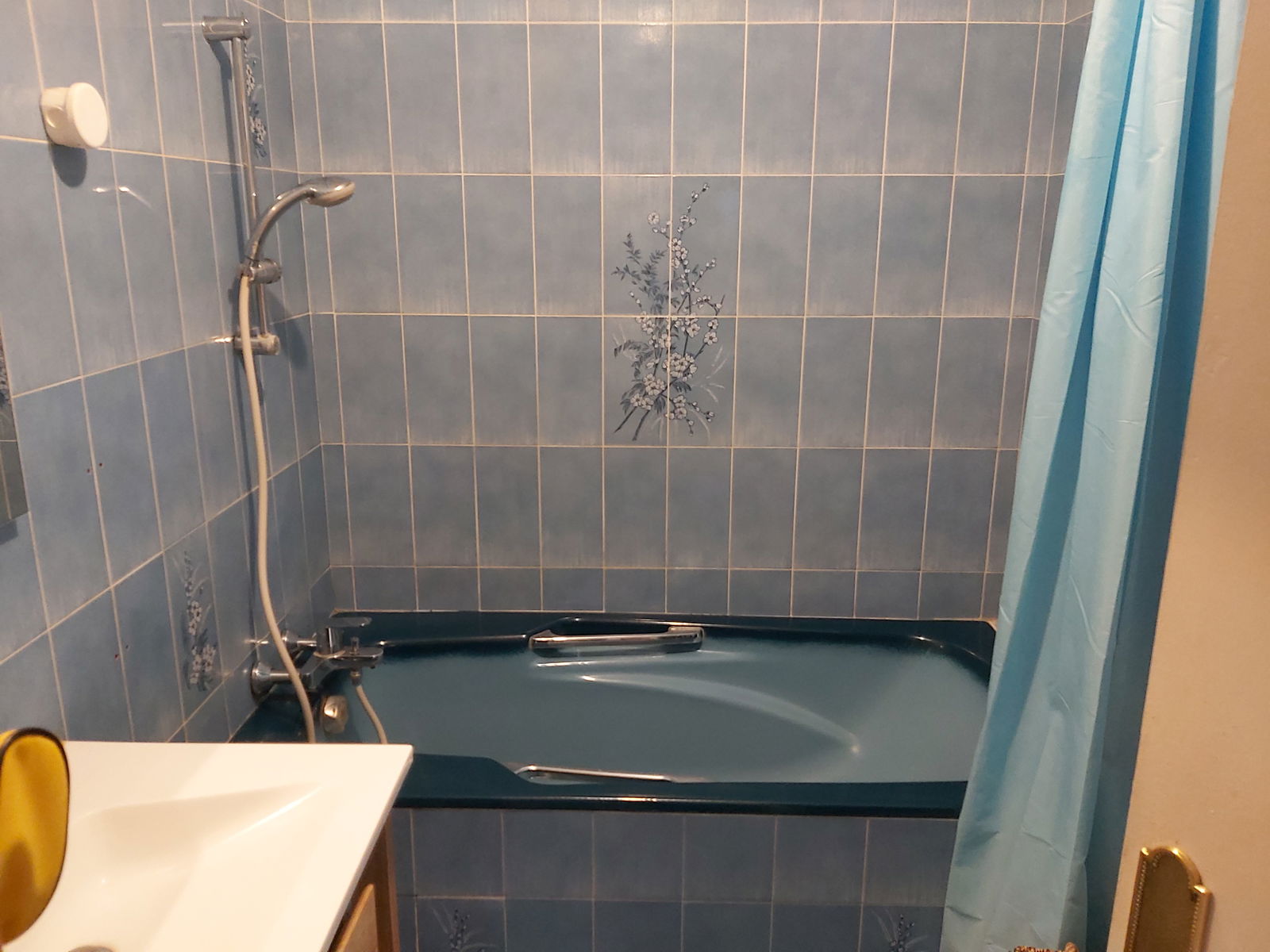 Chambre Chez L'habitant Saint-Pierre-des-Corps 247674