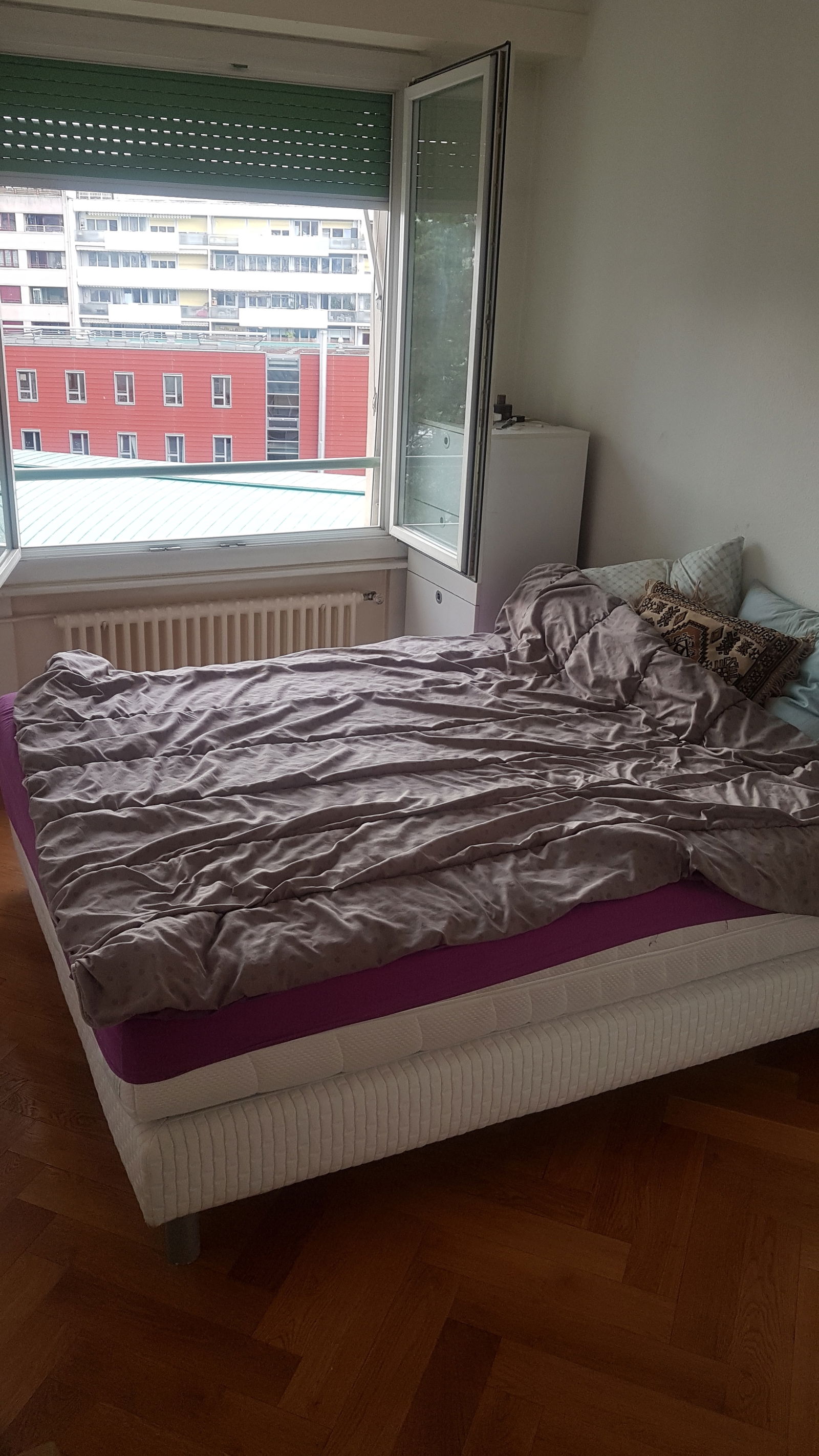 Colocation Carouge 248248