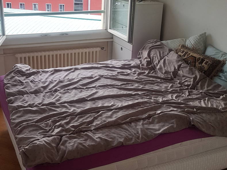 Colocation Carouge 248248-4