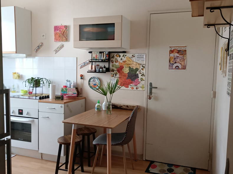 Chambre Chez L'habitant Toulouse 250137-3