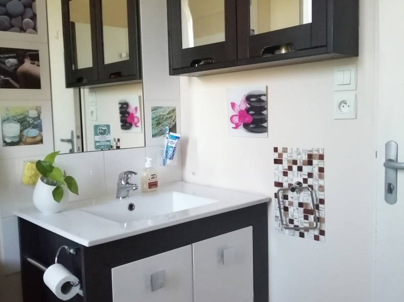 Chambre Chez L'habitant Toulouse 250137-5