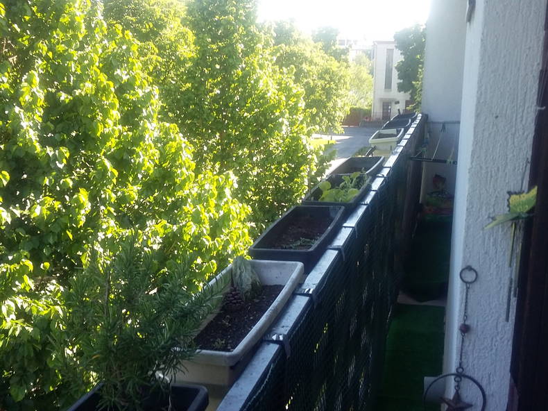 Homestay Choisy-le-Roi 250920-5