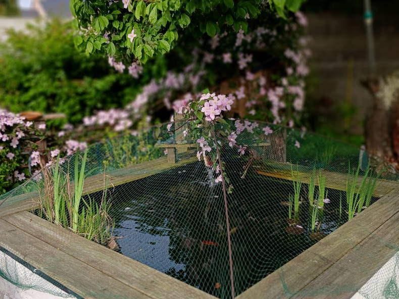 Quedarse En Casa Saint-Méloir-des-Ondes 256186-4