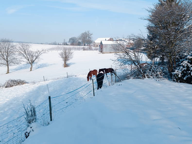 Colocation Beaumont 265444-5