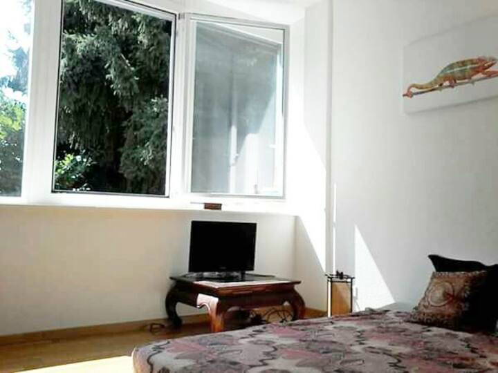 Chambre À Louer Lausanne 266655