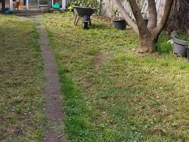 Chambre Chez L'habitant Saint-Pierre-d'Oléron 353905-2