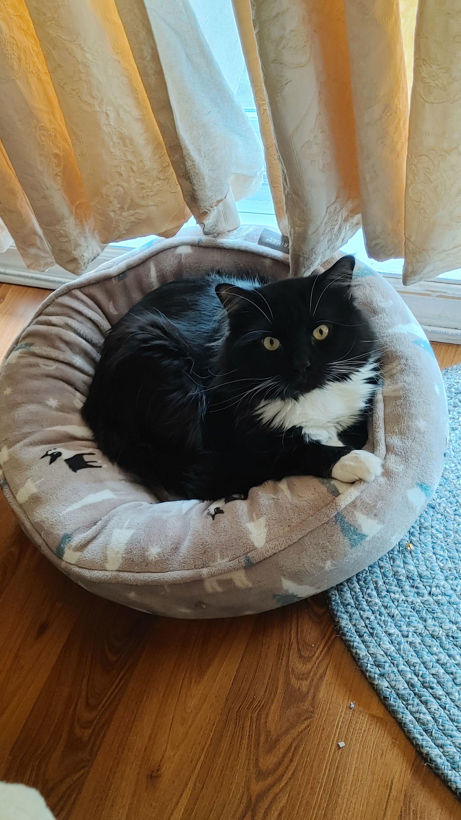 Chambre Chez L'habitant Montréal 397564