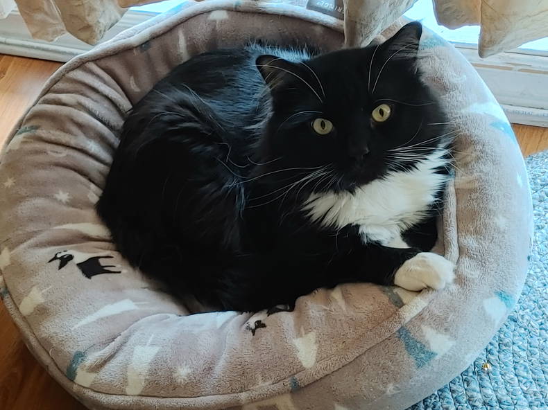 Chambre Chez L'habitant Montréal 397564-3