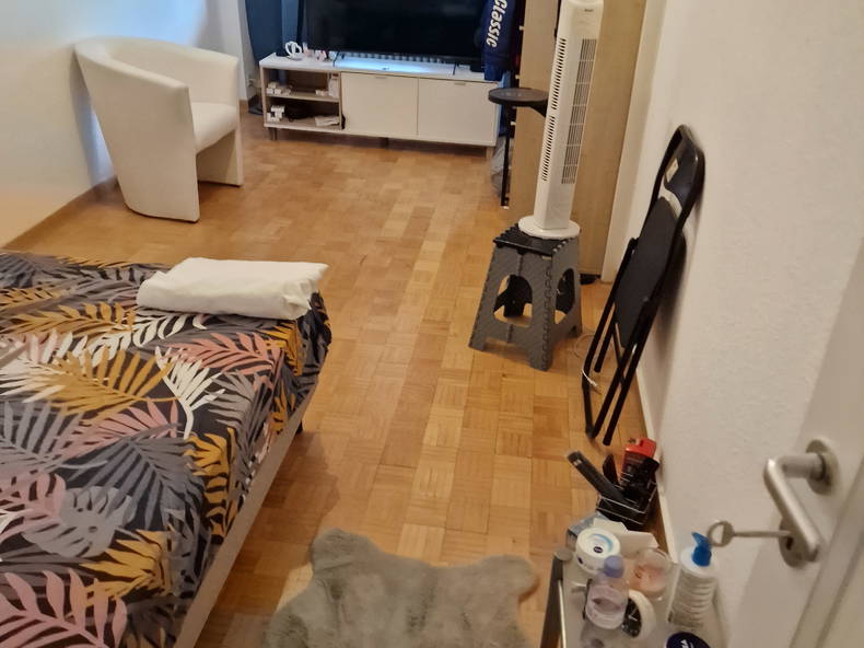 Homestay Genève 401321-3