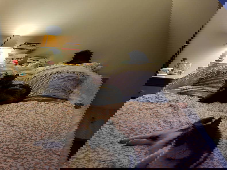 Gastfamilie Le Coudray 408443-3