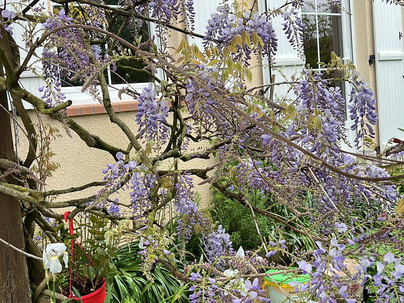 Gastfamilie Le Coudray 408443-4