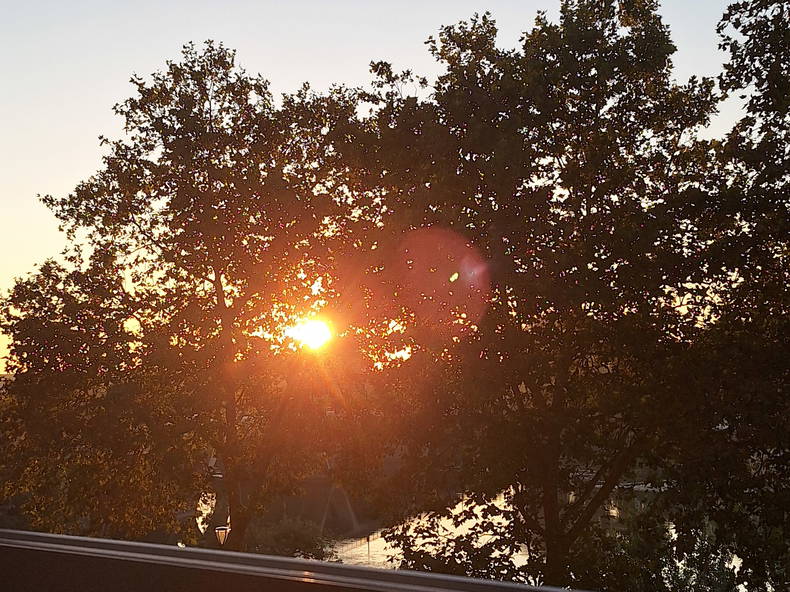 Quedarse En Casa Toulouse 416870-4