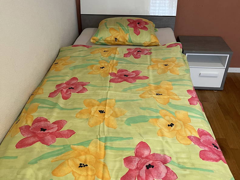 Chambre Chez L'habitant Gland 419069-2