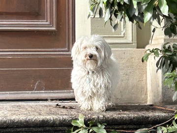 Unterkunft beim Gastgeber zur Miete in Chêne-Bourg - Foto 7 : Sonstiger Raum-7