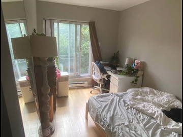 Coliving Montréal 424131-2