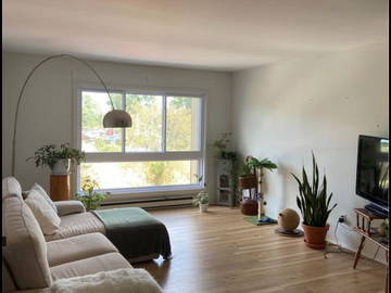 Coliving Montréal 424131-3