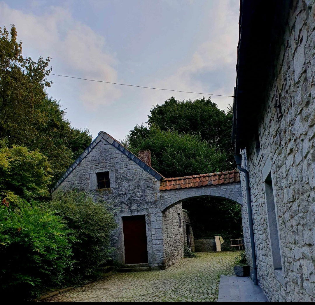 Colocation Beaumont 424851