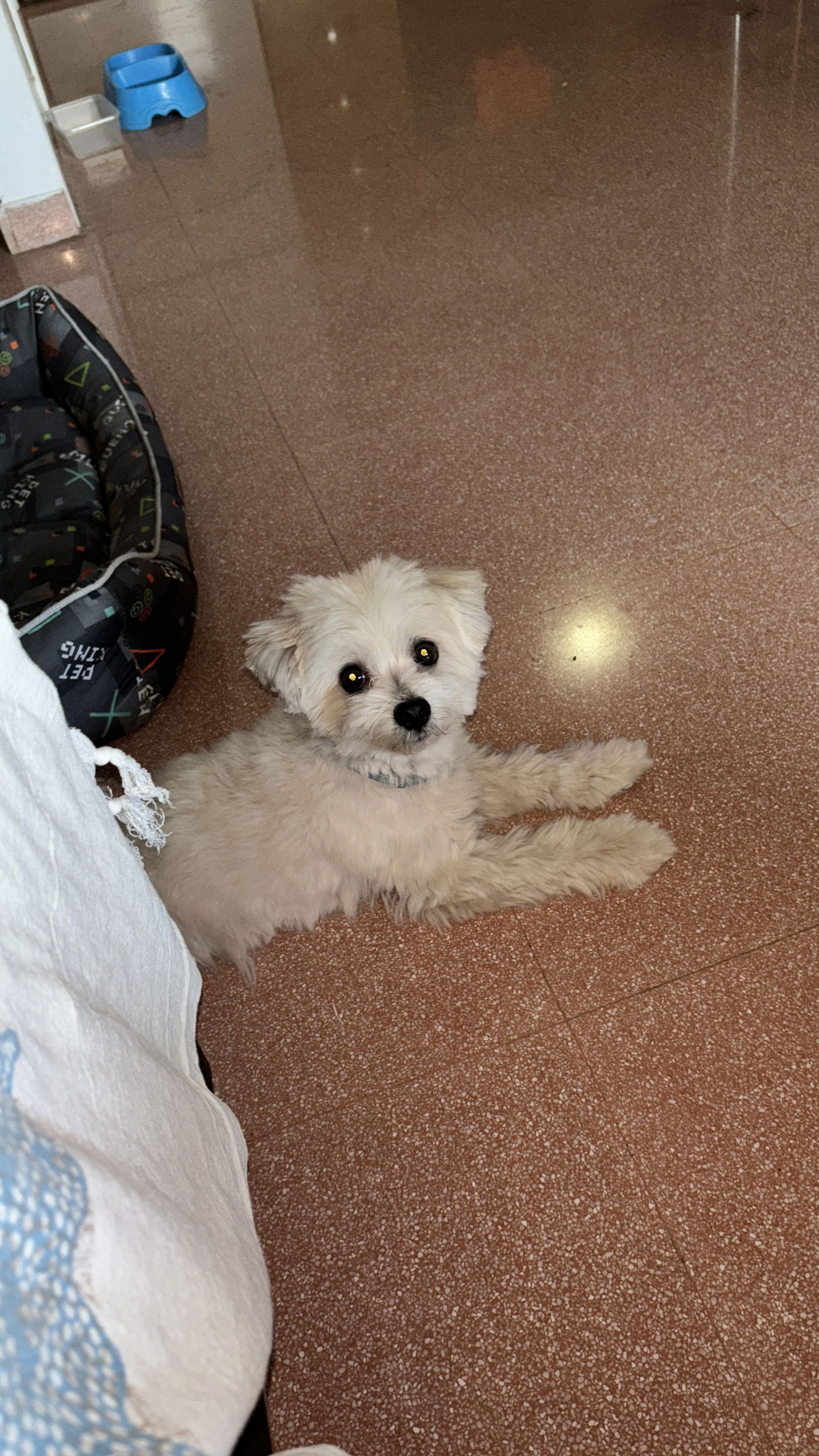 Chambres D'hôtes San Luis de Sabinillas 426693