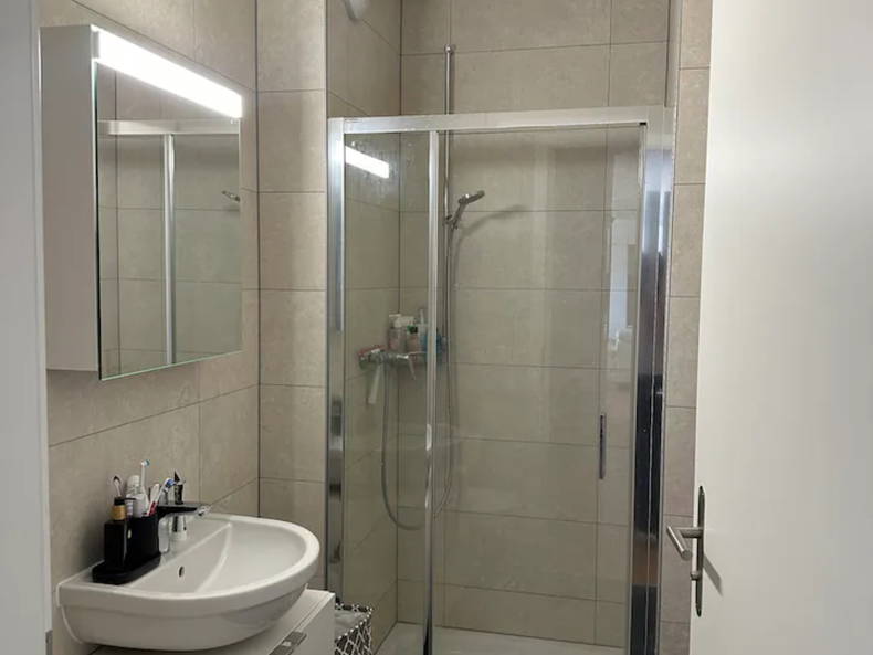 Colocation Chêne-Bougeries 436247-4