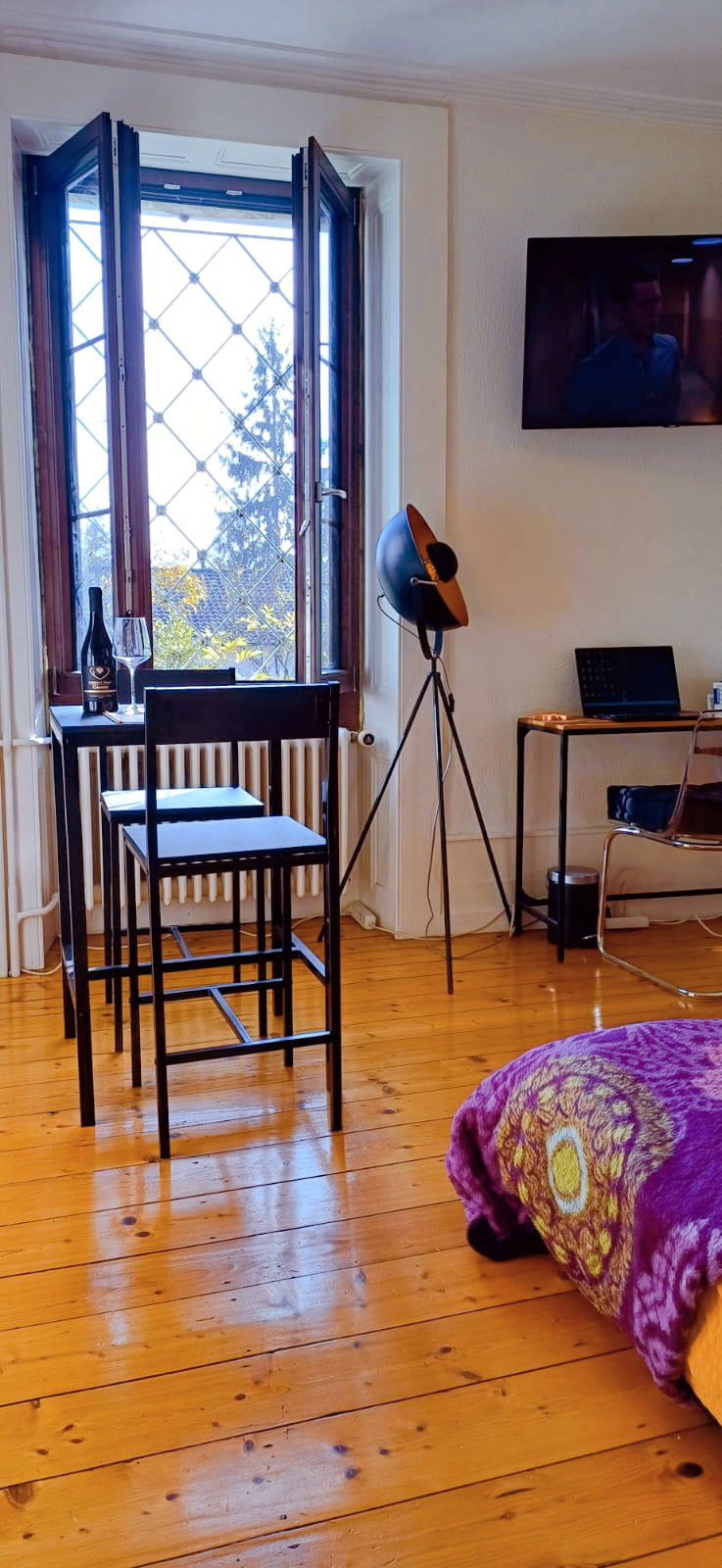 Chambre Chez L'habitant Onex 449904