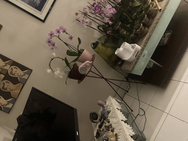 Gastfamilie Créteil 453561-5