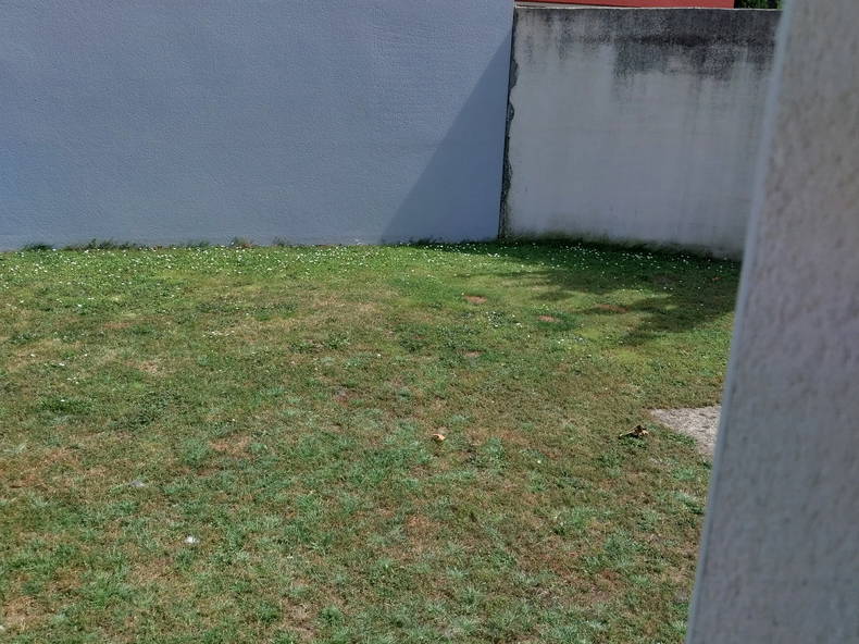 Homestay Legé 463931-1