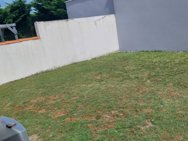 Quedarse En Casa Legé 465258-1