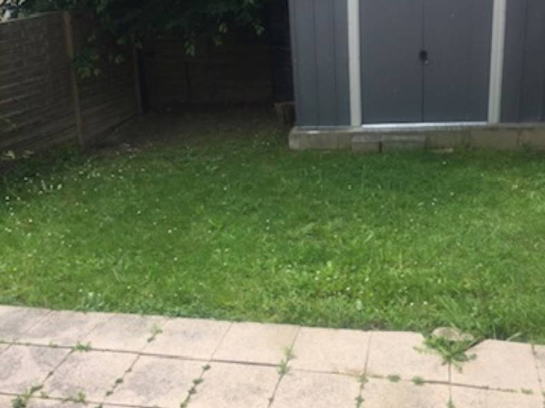 Homestay Savigny-le-Temple 467710-4